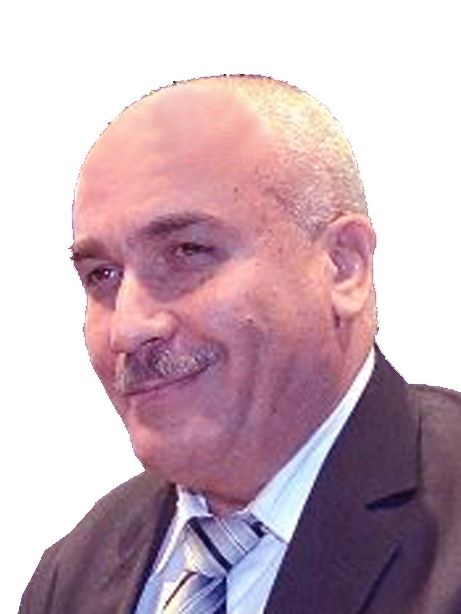Mr. / Mohamed Abdel Aziz Abdel Salam